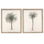 Cuadro Palmera 2 - Imagen 2