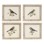 Set 4 cuadros pájaro
