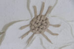 Cuadro Dalia - Imagen 3
