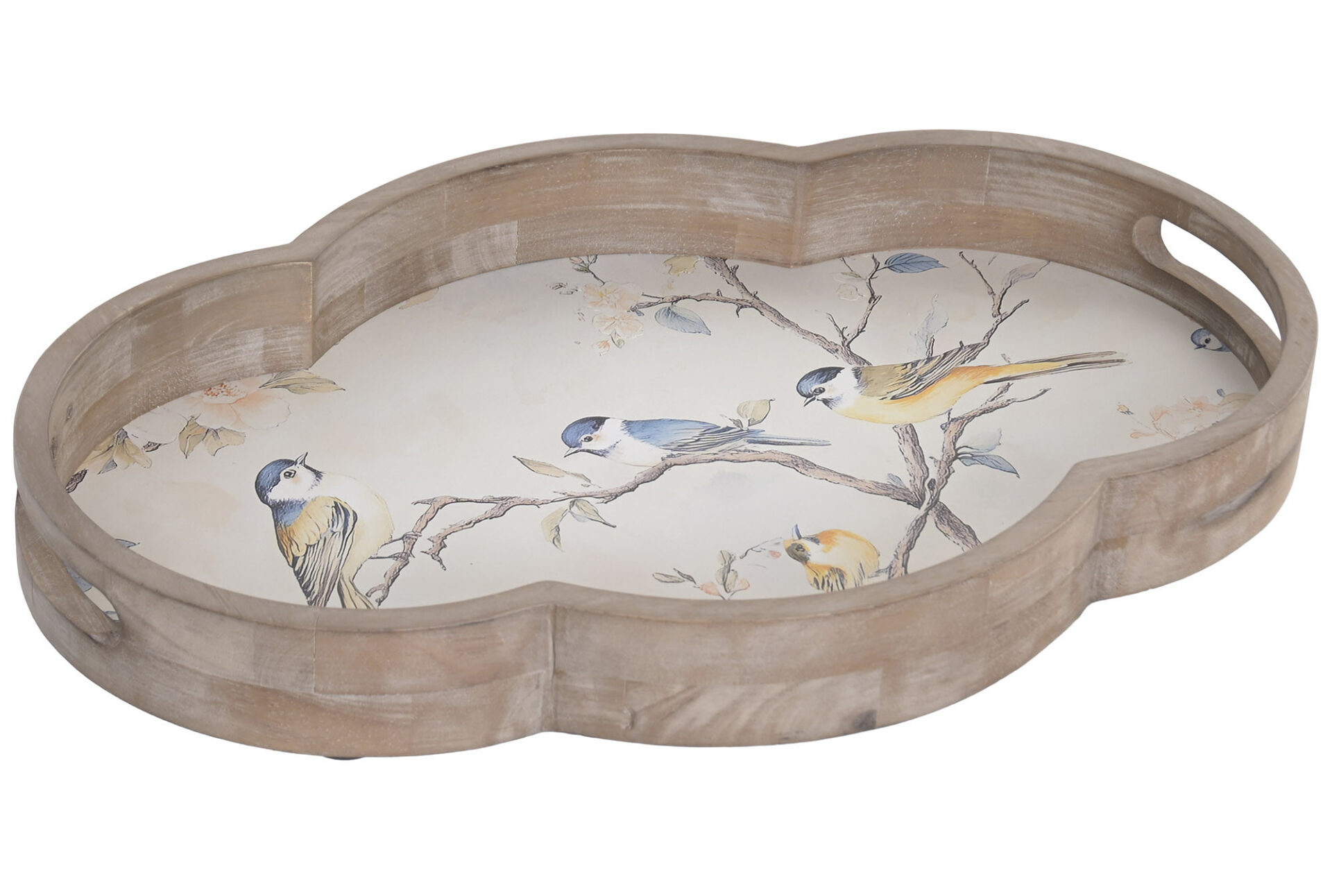 BD-230671 Bandeja pájaros - Imagen 1