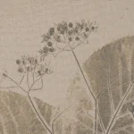 Cuadro Hoja - Imagen 3