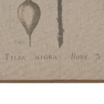 Cuadro Hoja - Imagen 4